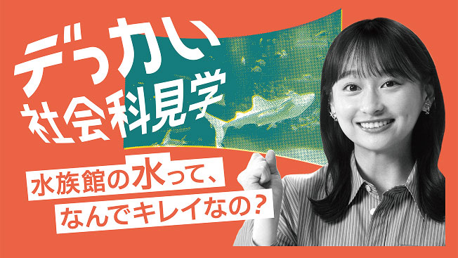 デっカい社会科見学 水族館の水って、なんでキレイなの?