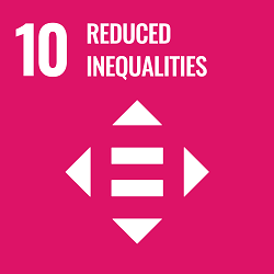 10Reduced inequalities