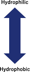 Hydrophilic Hydrophobic