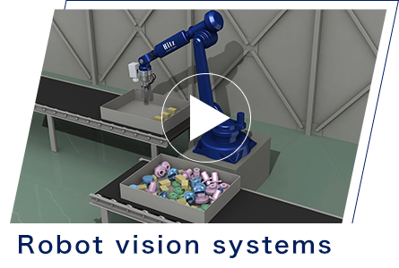 Robot vision systems